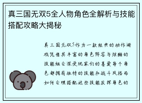 真三国无双5全人物角色全解析与技能搭配攻略大揭秘
